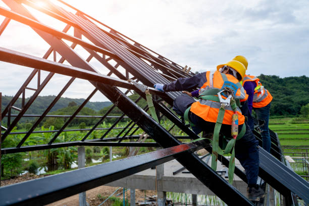 Best Roof Replacement Cost  in Fabens, TX