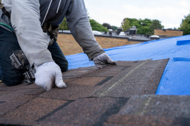 Best Roof Gutter Cleaning  in Fabens, TX