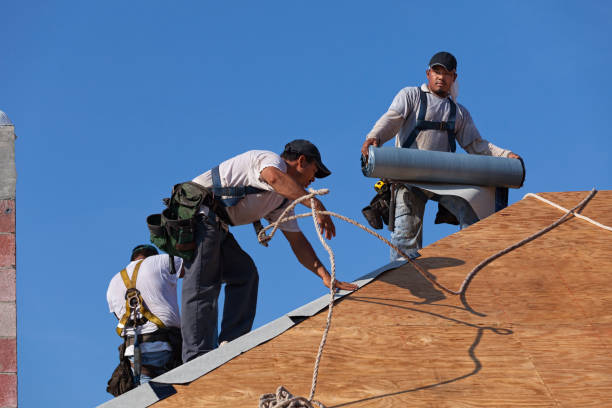 Best Flat Roof Repair Services  in Fabens, TX